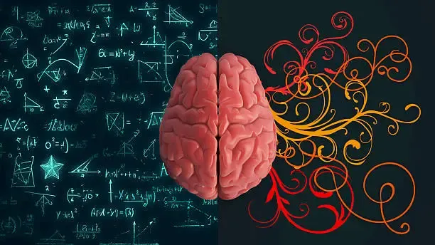 Mémoire et cerveau dans la drépanocytose : comprendre les impacts et les enjeux