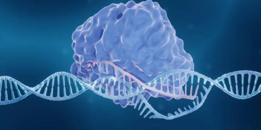 Casgevy (exa-cel) : la première thérapie CRISPR pour la drépanocytose et ses avancées récentes