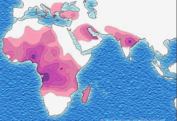 La drépanocytose en Grèce et en Macédoine : état des lieux épidémiologique et perspectives